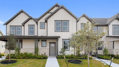 2545 Violet Theo LN